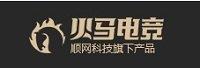 杭州顺网科技股份有限公司
