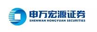 申万宏源证券有限公司
