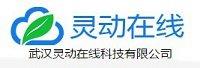武汉灵动在线科技有限公司