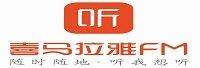 上海喜大网络科技有限公司