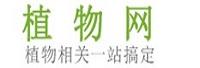 武汉植物网技术股份有限公司