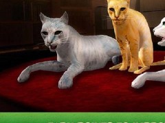 家猫模拟器3d中文破解版