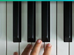 钢琴键盘内购破解版