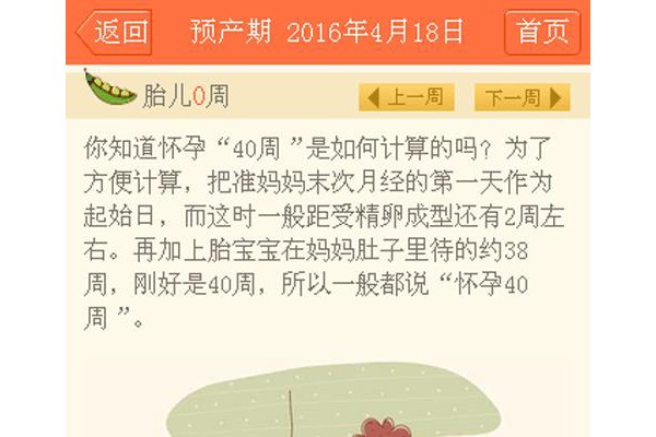 孕期好帮手软件