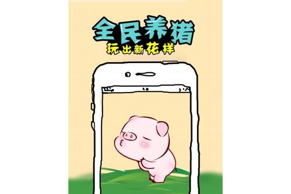 全民养猪最新ios版