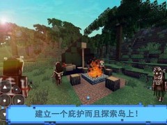 抛弃的人生存岛