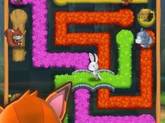 森林之家手机版