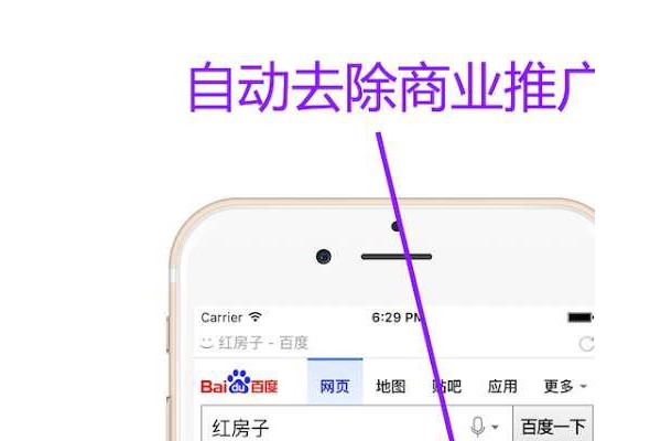 右手浏览器软件