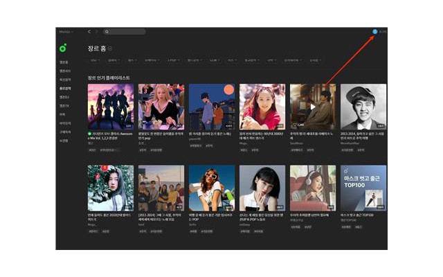 melon pc版