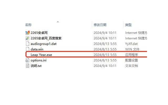 leap year闰跃之年游戏