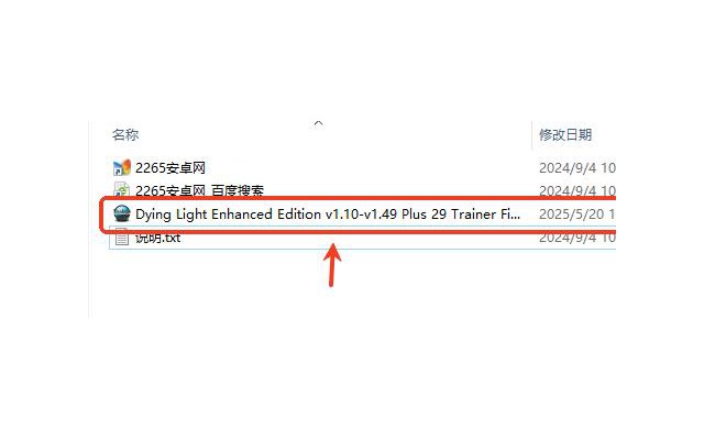 消逝的光芒信徒加强版修改器