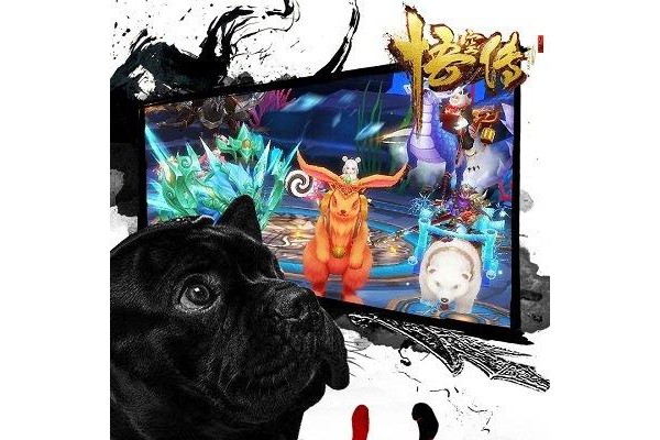悟空传苹果版