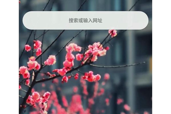 矿大浏览器app