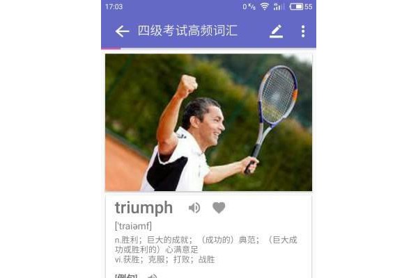 单词锦囊app