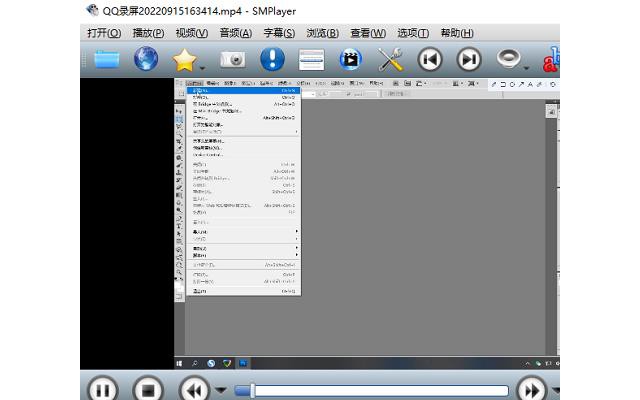 smplayer中文版官方免费版