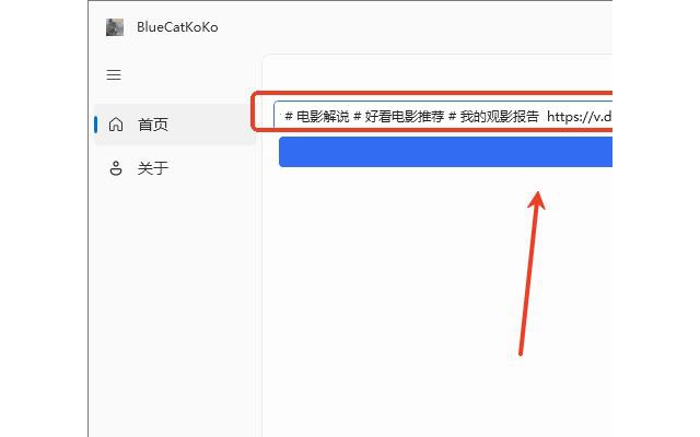 蓝猫koko下载器(抖音快手视频下载)