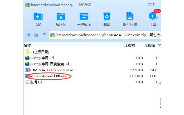 internet download manager中文破解版
