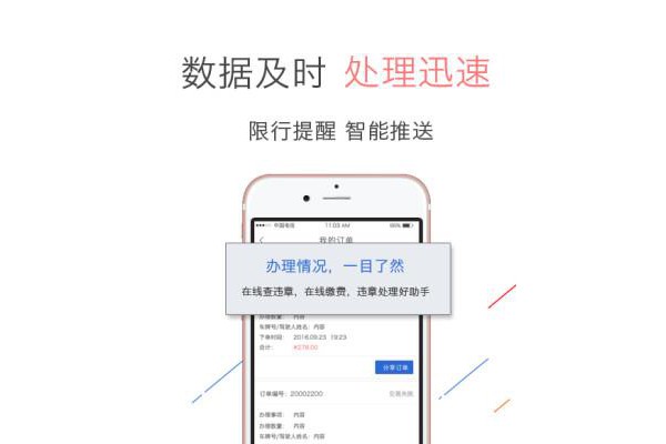 畅车网查违章手机版