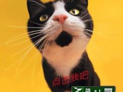 app虎猫咪叫游戏手机版