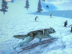 北极狼群3d内购破解版