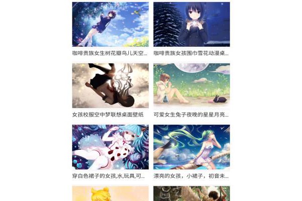 风车动漫iphone版