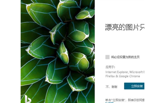微软壁纸软件bing wallpaper