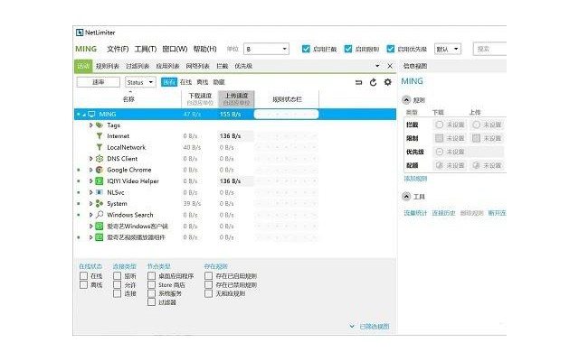 NetLimiter Pro流量管理软件