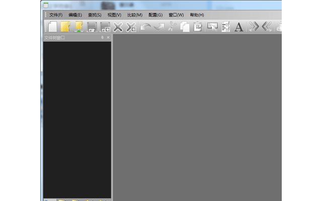 pilotedit lite绿色中文版
