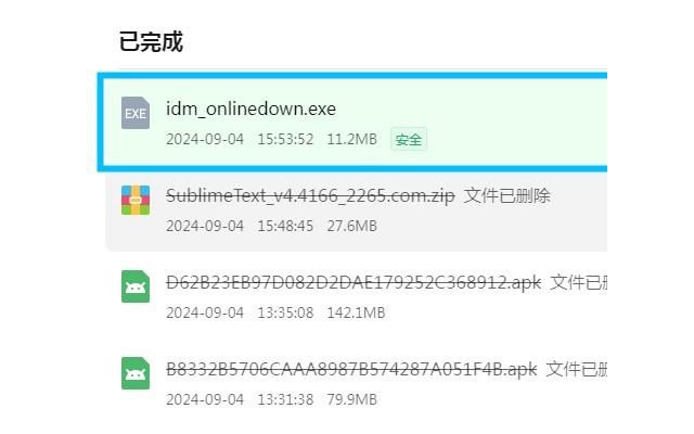 Internet Download Manager(IDM)电脑版