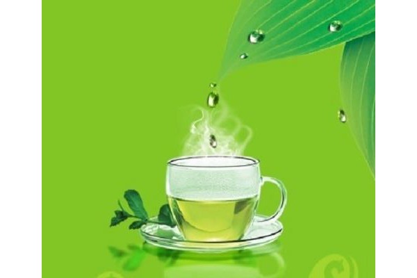 茶会友手机版