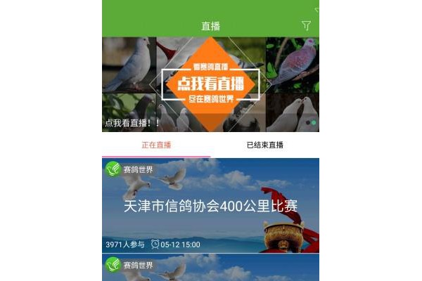 赛鸽世界app