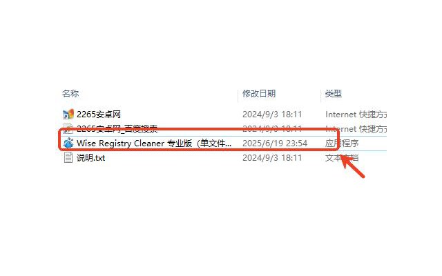 Wise Registry Cleaner Pro绿色版