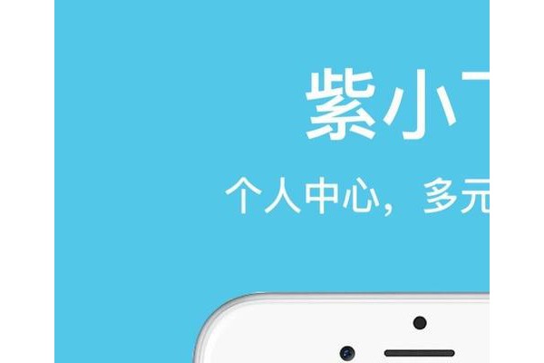 紫小飞上网卡