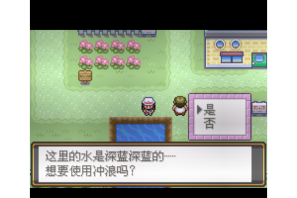 口袋妖怪火红小偷能偷什么
