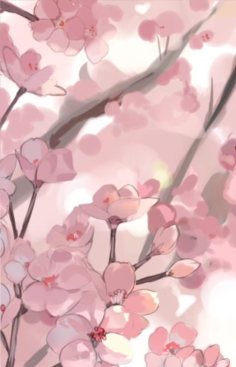 二次元社区app