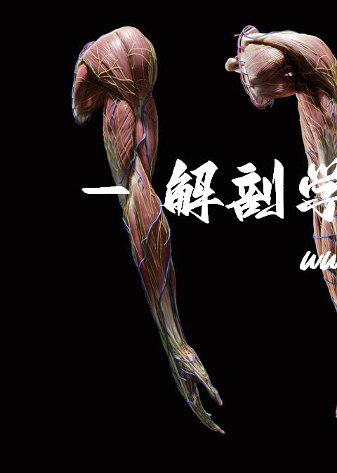 解剖学APP