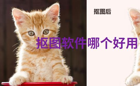 抠图软件哪个好用
