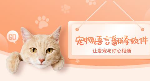 宠物语言翻译