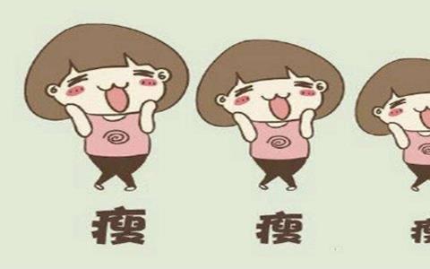 记录体重的软件