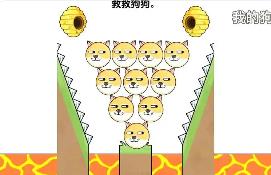 抖音蜜蜂蜇人