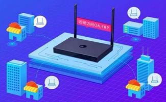动态域名解析软件