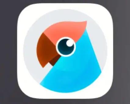有道翻译app