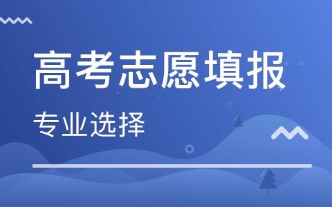 高考志愿填报