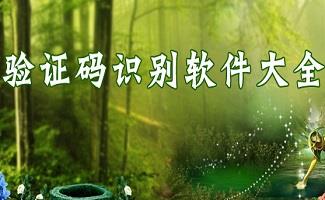 验证码识别软件