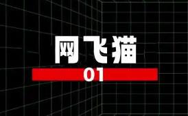 网飞猫