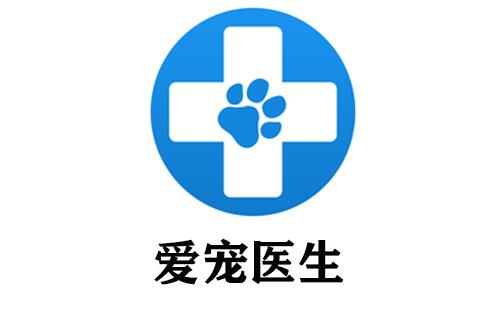 爱宠医生