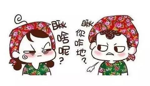 方言转换软件