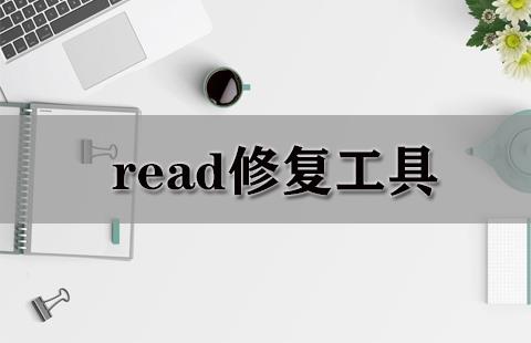 read修复工具