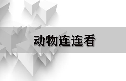 动物连连看