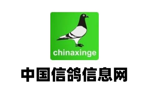 中国信鸽信息网
